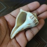 Padam Sankh